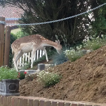 La Garonde Bed & Breakfast Boeschepe