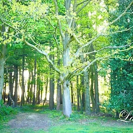 La Garonde 4* Boeschepe