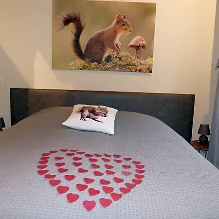 La Garonde Bed and breakfast Boeschepe