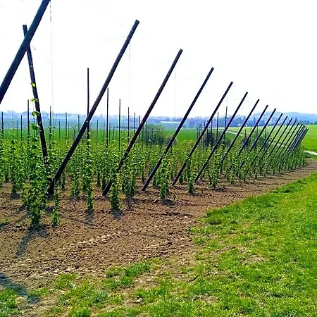 La Garonde 4* Boeschepe