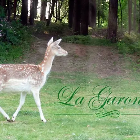 La Garonde ブシュプ