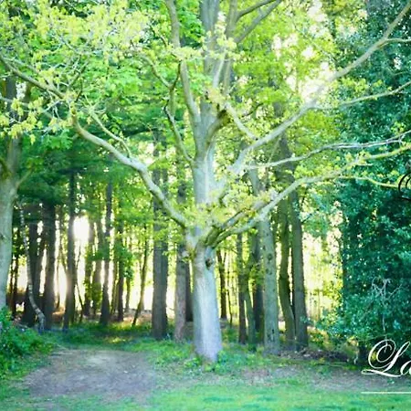 La Garonde Boeschepe