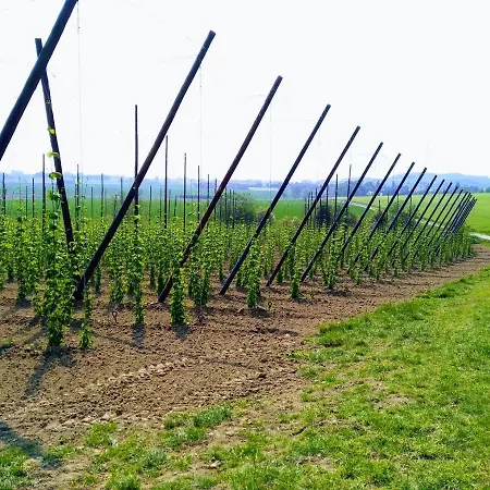 La Garonde Bed & Breakfast 4*